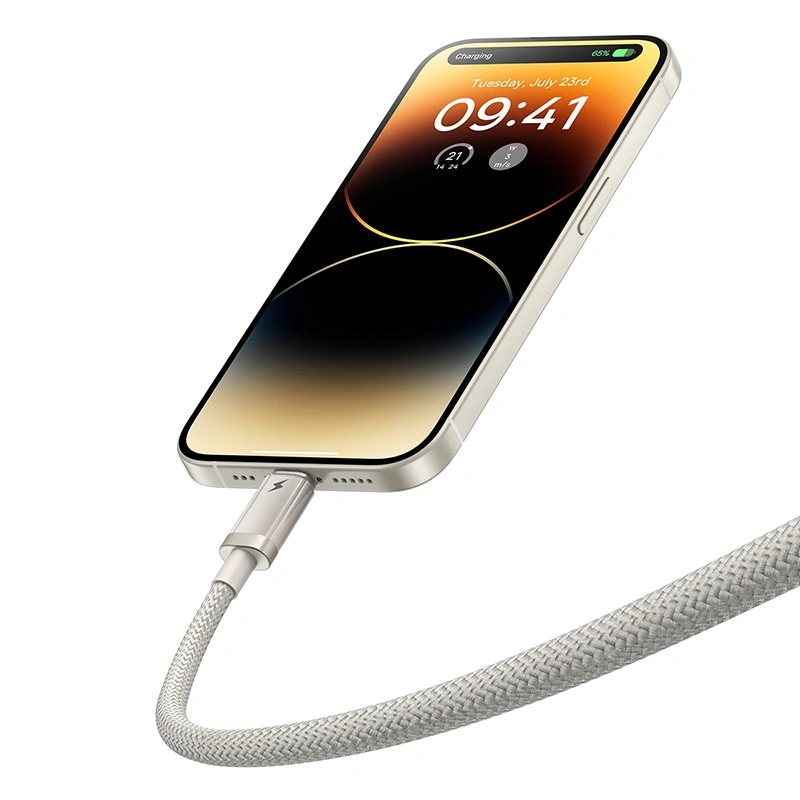 Baseus Titanium Alloy 1 Meter USB to Lightning 2.4A Fast Charging Cable - Galaxy Titanium Gold - P10378102G21-01 Baseuscolombo