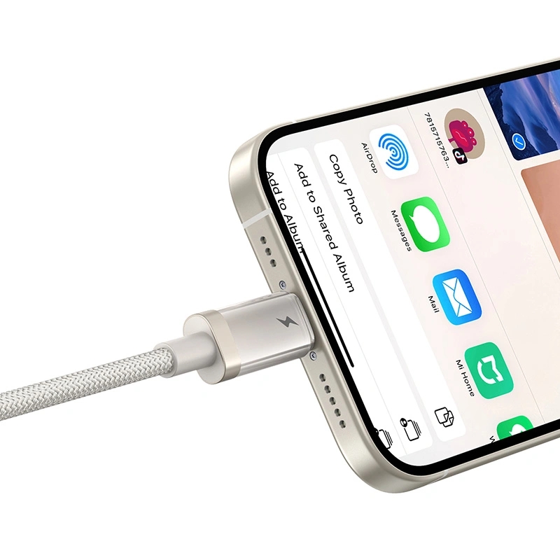 Baseus Titanium Alloy 1 Meter USB to Lightning 2.4A Fast Charging Cable - Galaxy Titanium Gold - P10378102G21-01 Baseuscolombo